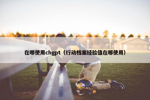 在哪使用chgpt（行动档案经验值在哪使用）