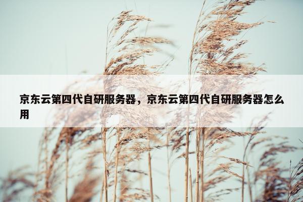 京东云第四代自研服务器，京东云第四代自研服务器怎么用