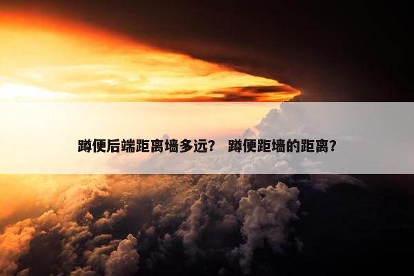蹲便后端距离墙多远？ 蹲便距墙的距离？