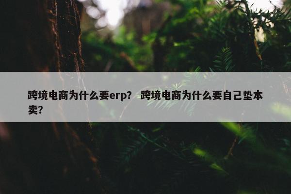 跨境电商为什么要erp？ 跨境电商为什么要自己垫本卖？