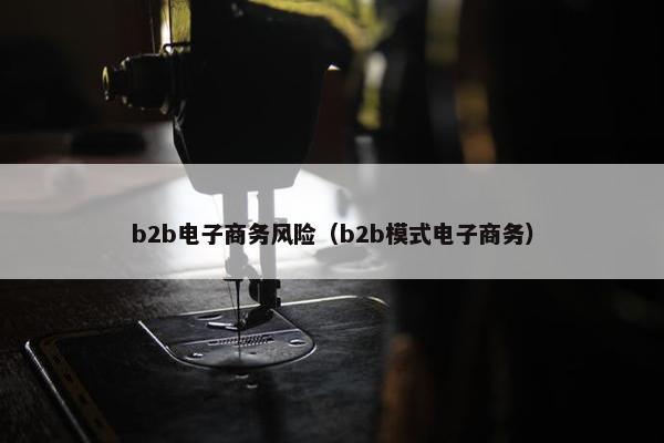 b2b电子商务风险（b2b模式电子商务）