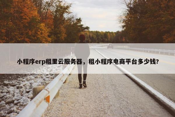 小程序erp租里云服务器，租小程序电商平台多少钱?