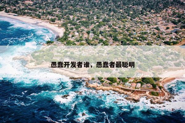 愚蠢开发者谁，愚蠢者最聪明