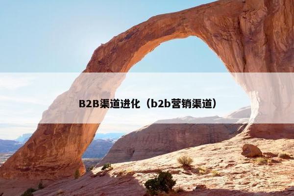 B2B渠道进化（b2b营销渠道）