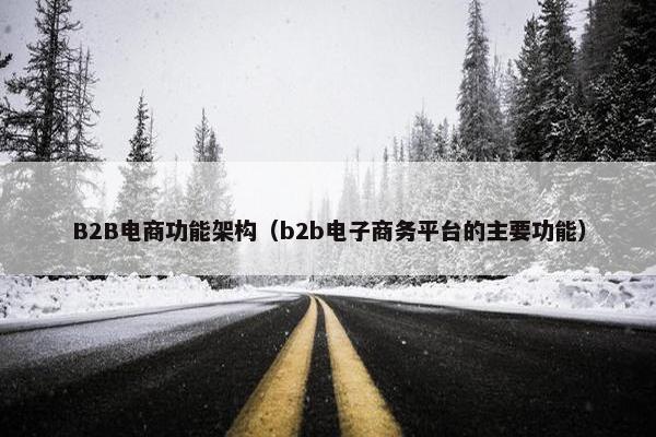 B2B电商功能架构（b2b电子商务平台的主要功能）