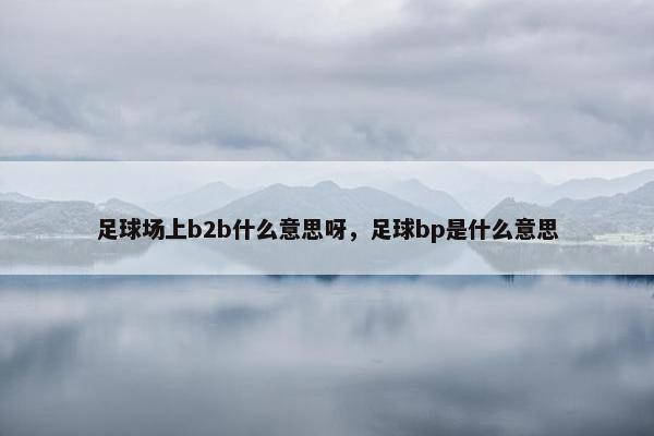 足球场上b2b什么意思呀，足球bp是什么意思