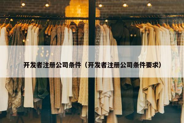 开发者注册公司条件（开发者注册公司条件要求）