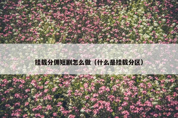 挂载分佣短剧怎么做（什么是挂载分区）