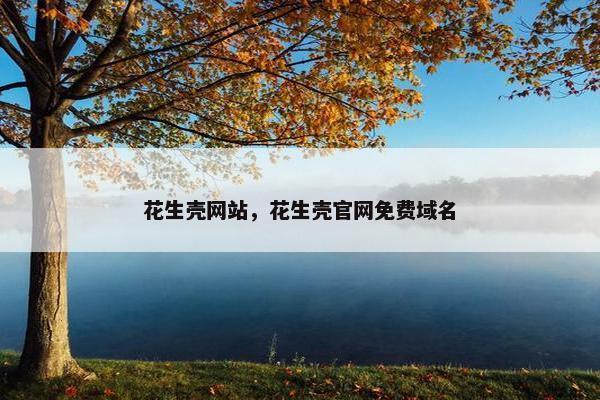 花生壳网站，花生壳官网免费域名