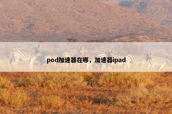 pod加速器在哪，加速器ipad