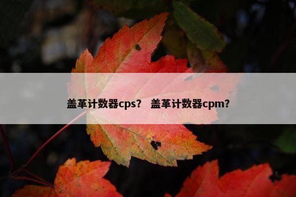 盖革计数器cps？ 盖革计数器cpm？