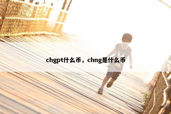 chgpt什么币，chng是什么币