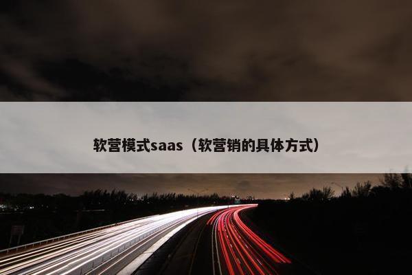 软营模式saas（软营销的具体方式）