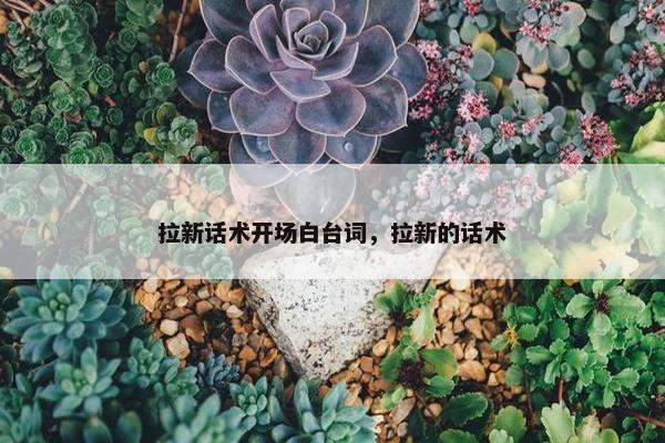 拉新话术开场白台词，拉新的话术