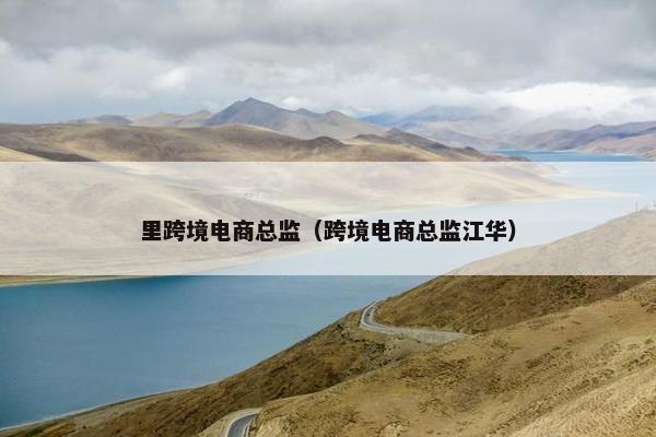 里跨境电商总监（跨境电商总监江华）