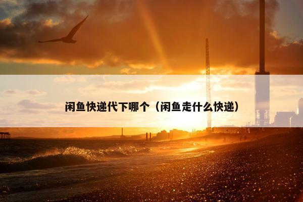 闲鱼快递代下哪个（闲鱼走什么快递）