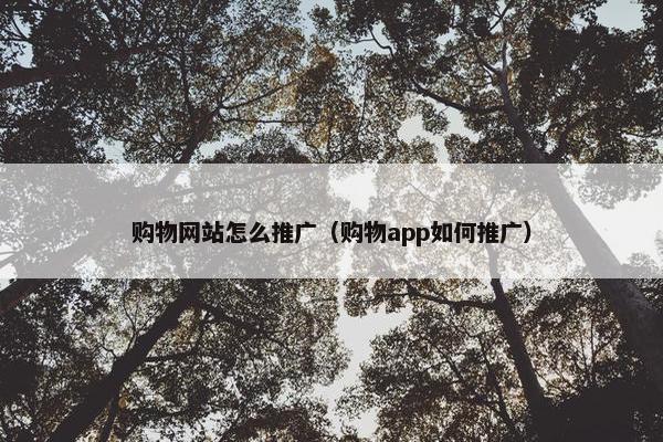 购物网站怎么推广（购物app如何推广）