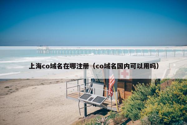 上海co域名在哪注册（co域名国内可以用吗）