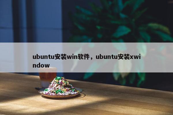 ubuntu安装win软件，ubuntu安装xwindow