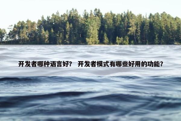 开发者哪种语言好？ 开发者模式有哪些好用的功能？