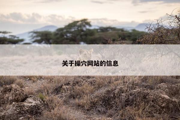 关于操穴网站的信息