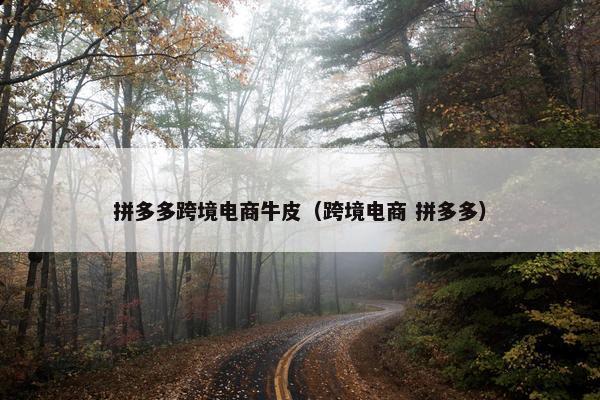 拼多多跨境电商牛皮（跨境电商 拼多多）