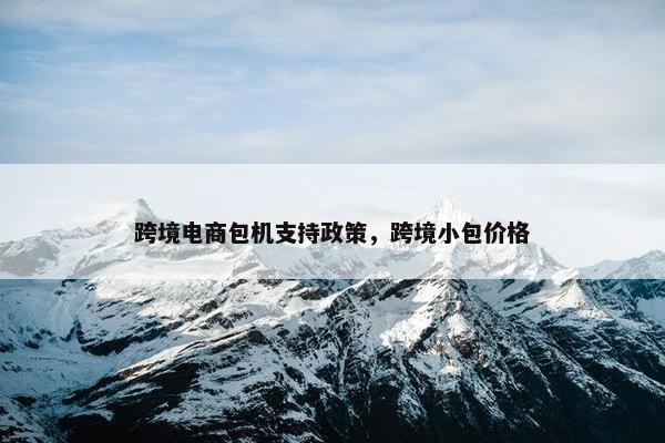 跨境电商包机支持政策，跨境小包价格