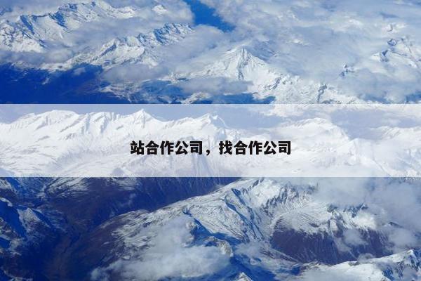 站合作公司，找合作公司