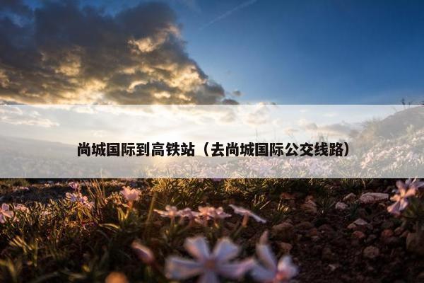 尚城国际到高铁站（去尚城国际公交线路）