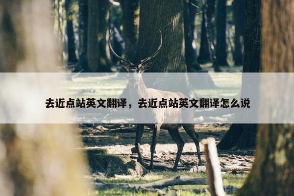 去近点站英文翻译，去近点站英文翻译怎么说