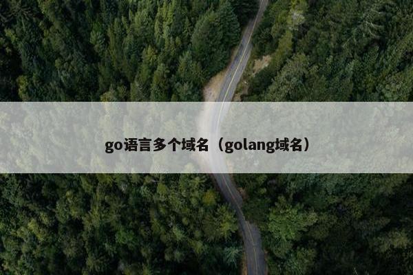 go语言多个域名（golang域名）