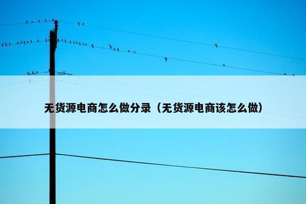 无货源电商怎么做分录（无货源电商该怎么做）