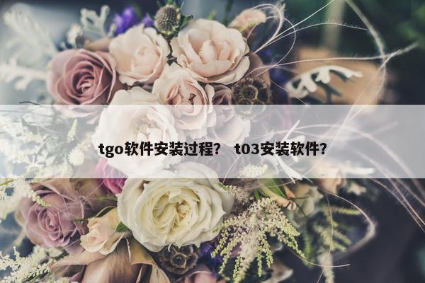 tgo软件安装过程？ t03安装软件？