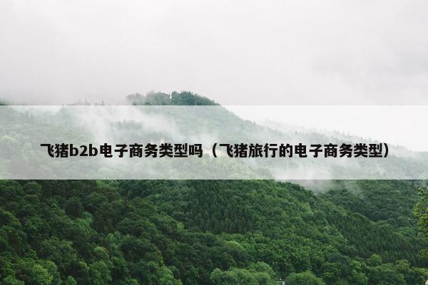 飞猪b2b电子商务类型吗（飞猪旅行的电子商务类型）