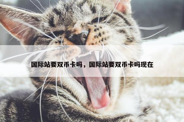 国际站要双币卡吗，国际站要双币卡吗现在