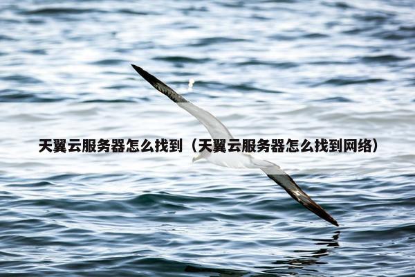 天翼云服务器怎么找到（天翼云服务器怎么找到网络）
