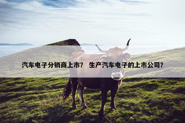 汽车电子分销商上市？ 生产汽车电子的上市公司？