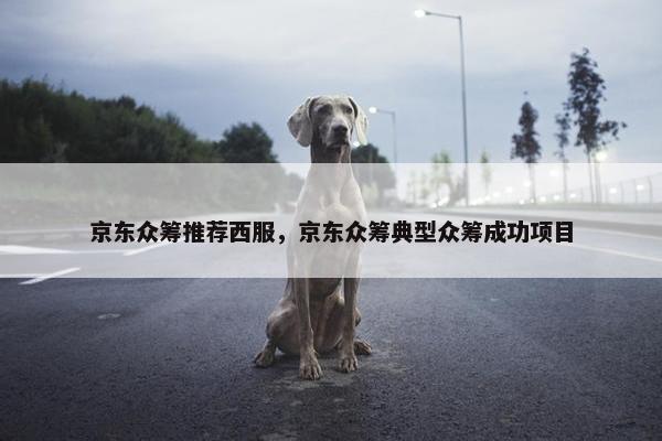 京东众筹推荐西服，京东众筹典型众筹成功项目