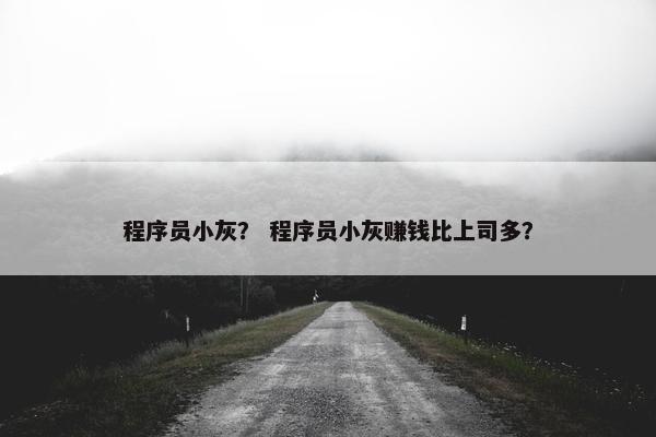 程序员小灰？ 程序员小灰赚钱比上司多？