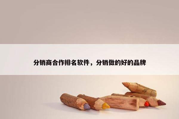 分销商合作排名软件，分销做的好的品牌