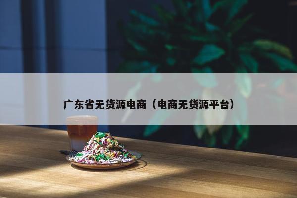 广东省无货源电商（电商无货源平台）
