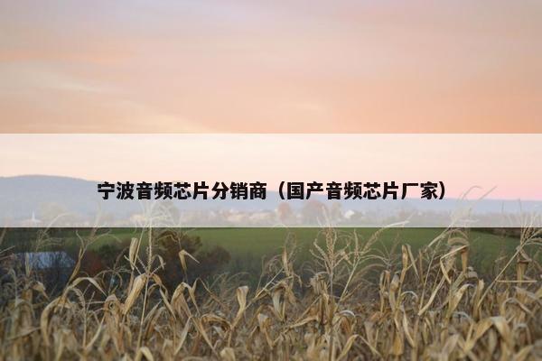 宁波音频芯片分销商（国产音频芯片厂家）