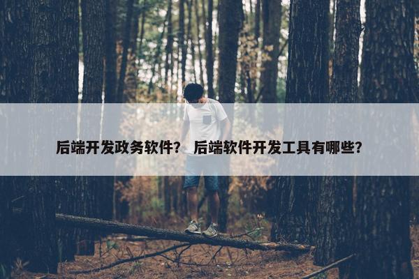 后端开发政务软件？ 后端软件开发工具有哪些？
