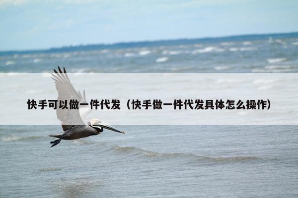 快手可以做一件代发（快手做一件代发具体怎么操作）
