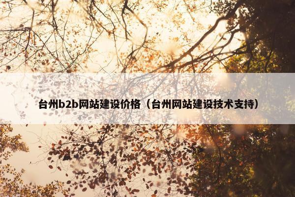 台州b2b网站建设价格（台州网站建设技术支持）
