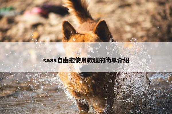 saas自由拖使用教程的简单介绍
