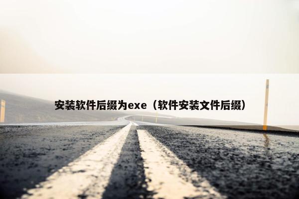 安装软件后缀为exe（软件安装文件后缀）