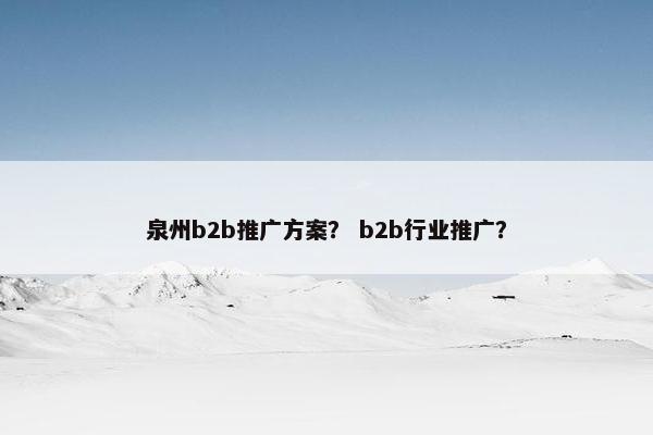 泉州b2b推广方案？ b2b行业推广？