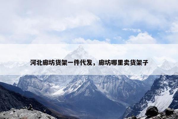 河北廊坊货架一件代发，廊坊哪里卖货架子