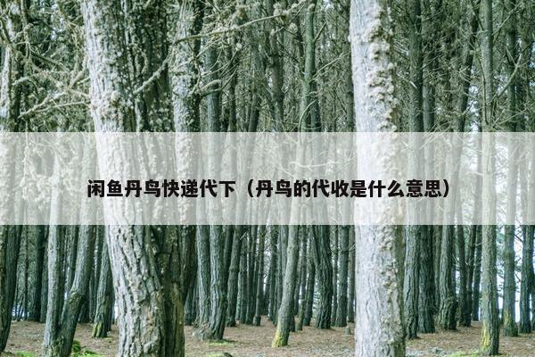 闲鱼丹鸟快递代下（丹鸟的代收是什么意思）